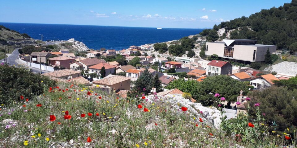 Calanque de Saména - Calanque à Marseille