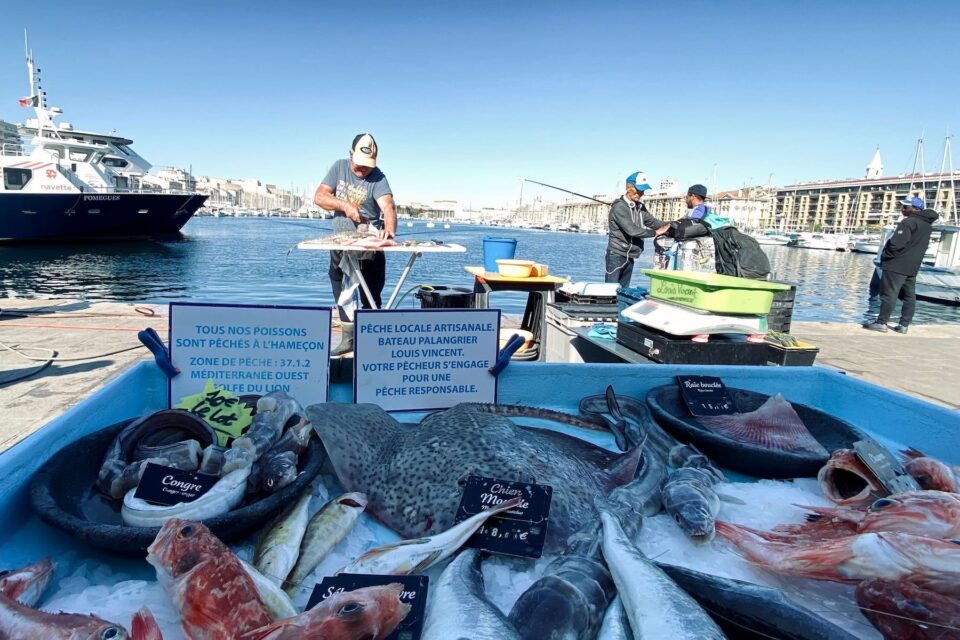 Marché aux Poissons - Marchés à Marseille