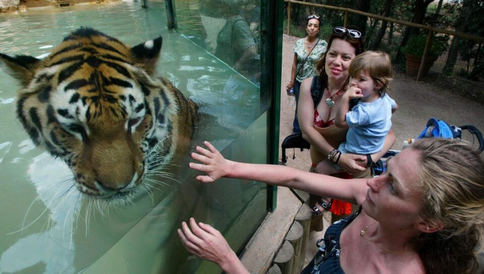 Zoo de la Barben